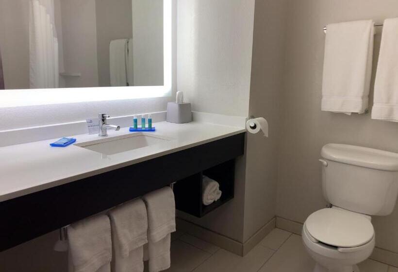 Люкс 2 Спальни, Holiday Inn Express Hotel & Suites Exmore Eastern Shore, An Ihg