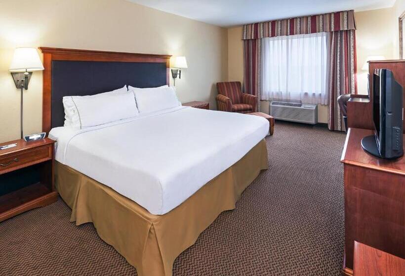 Standard-invahuone King-vuode, Holiday Inn Express & Suites   Laredo Event Center Area, An Ihg