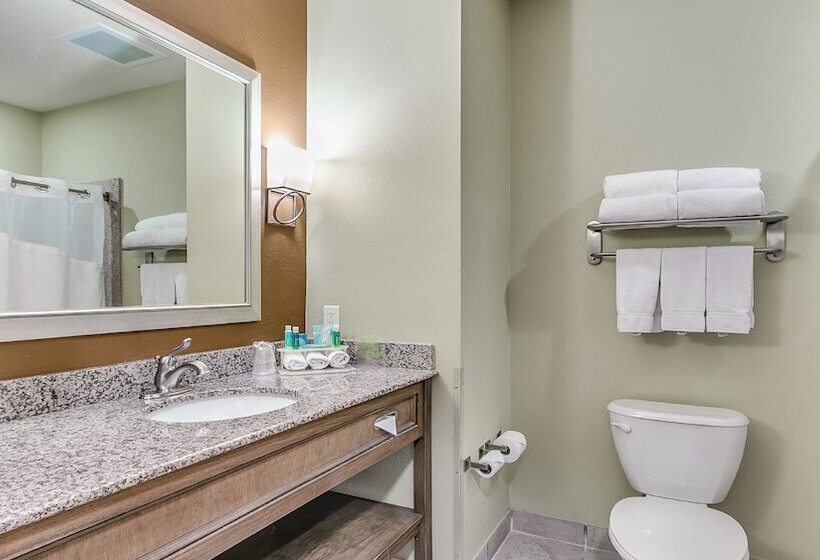 Номер Стандарт Адаптированный для Инвалидов, Holiday Inn Express & Suites Lubbock Southwest – Wolfforth, An Ihg
