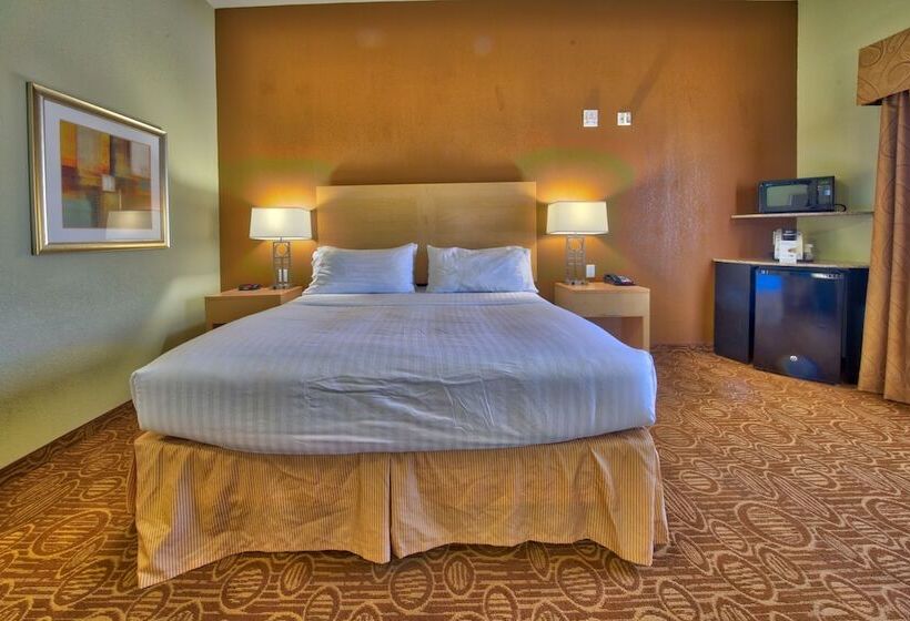 Номер Стандарт Адаптированный для Инвалидов, Holiday Inn Express & Suites Lubbock Southwest – Wolfforth, An Ihg