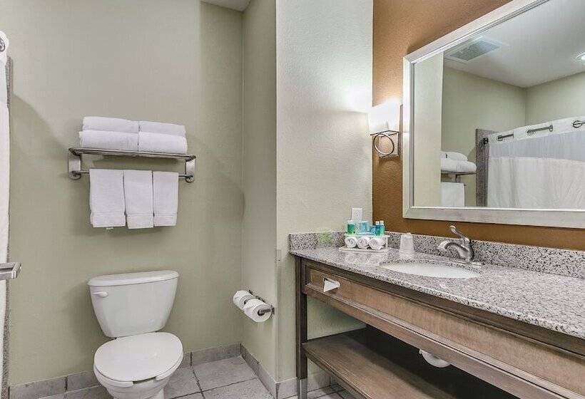 Номер Стандарт Адаптированный для Инвалидов, Holiday Inn Express & Suites Lubbock Southwest – Wolfforth, An Ihg