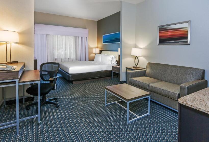 Люкс Кровать Кинг, Holiday Inn Express & Suites   Pharr, An Ihg