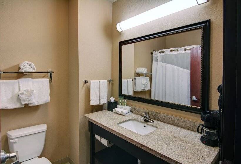 Номер Стандарт, Quality Inn Paris Texas