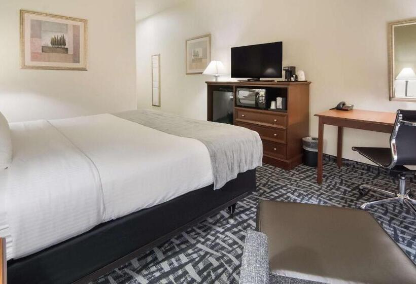 Номер Стандарт Кровать Кинг Адаптированный для Инвалидов, Best Western Comanche Inn