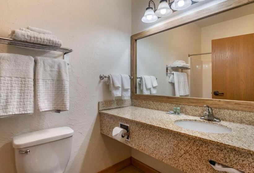 스탠다드 룸 킹사이즈 침대, Best Western Devils Tower Inn