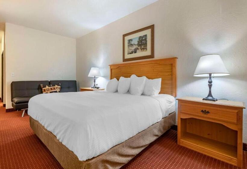스탠다드 룸 킹사이즈 침대, Best Western Devils Tower Inn
