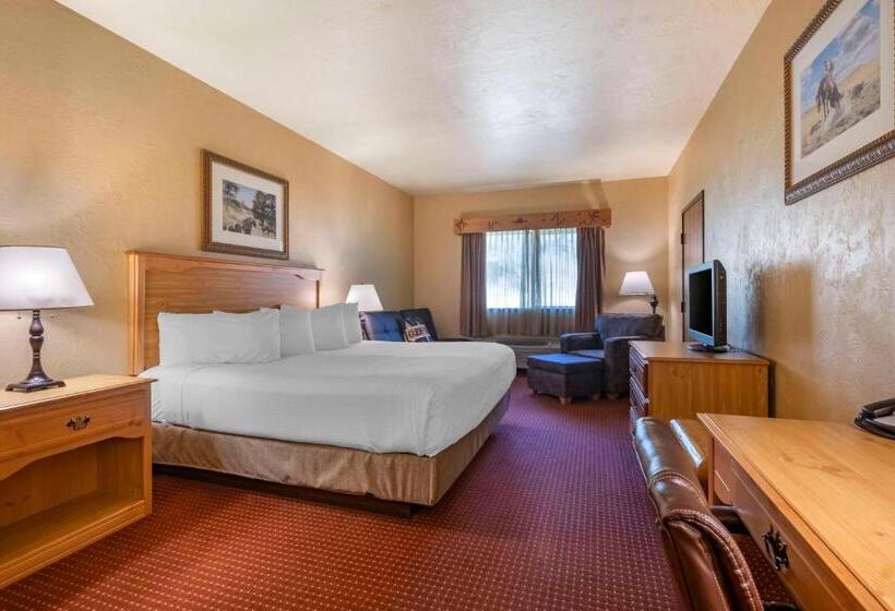 장애인을 위한 킹사이즈 침대 스탠다드 룸, Best Western Devils Tower Inn