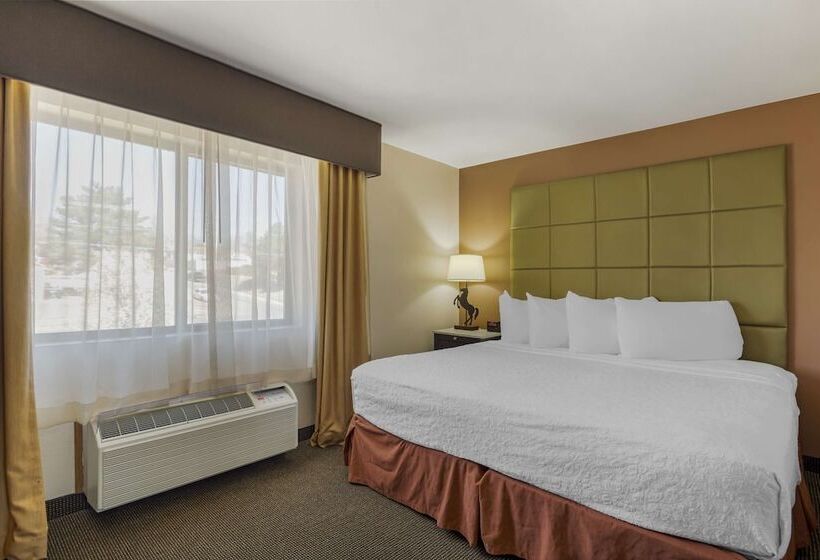 Номер Стандарт Двуспальная Кровать, Best Western Plus Country Inn & Suites
