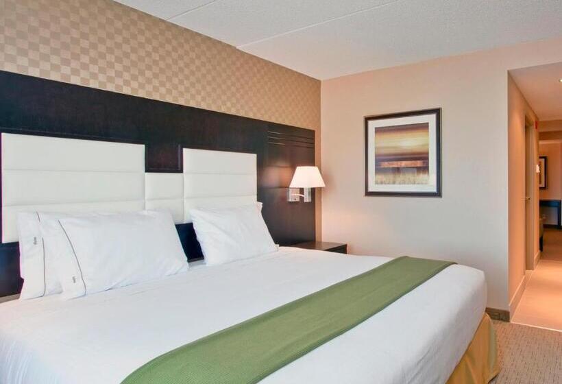 이그제큐티브 스위트 킹침대, Holiday Inn Express & Suites Ottawa West   Nepean, An Ihg