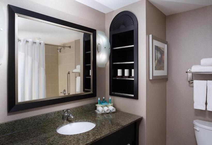 디럭스 룸, Holiday Inn Express & Suites Ottawa West   Nepean, An Ihg