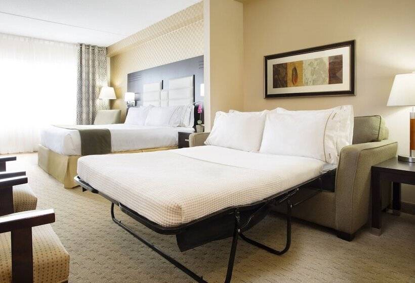 스위트, Holiday Inn Express & Suites Ottawa West   Nepean, An Ihg