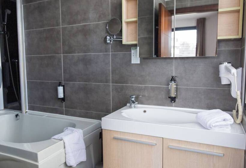 Апартаменты 1 Спальня, Zenitude Swiss Apparthotels