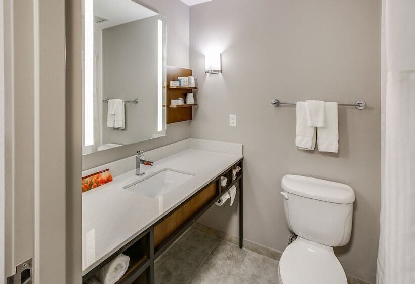 Номер Стандарт, Hilton Garden Inn Ames
