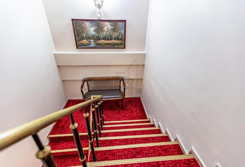 اتاق استاندارد سه نفره, Elasophia