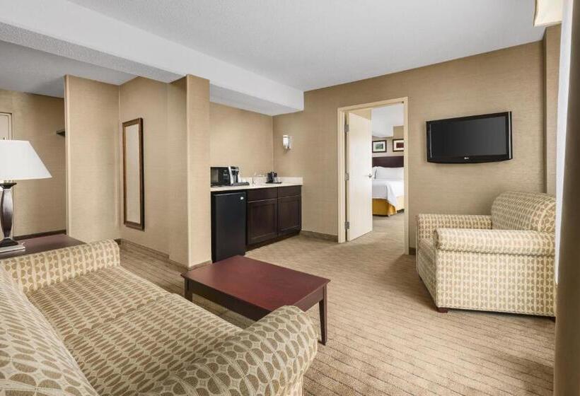 스탠다드 룸 킹사이즈 침대, Holiday Inn Express Boston Brockton, An Ihg