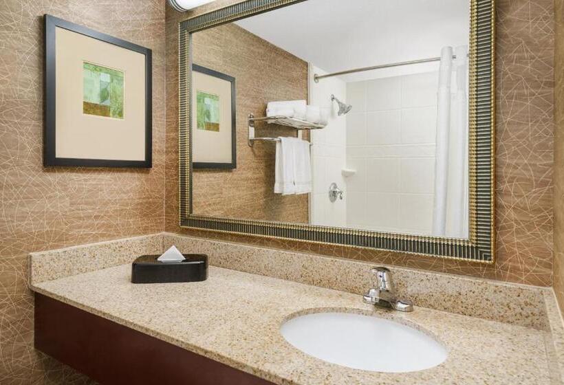 스위트 킹사이즈 침대, Holiday Inn Express Boston Brockton, An Ihg