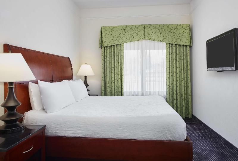 اتاق استاندارد با تخت بزرگ, Hilton Garden Inn Rockville Gaithersburg
