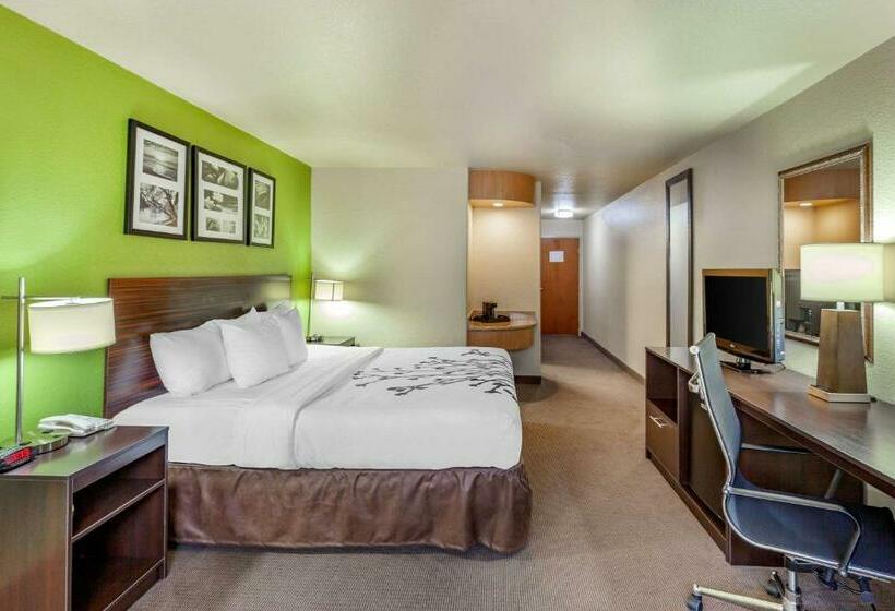 带大床的标准间, Sleep Inn & Suites Hewitt  South Waco