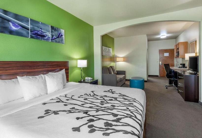 带大床的套房, Sleep Inn & Suites Hewitt  South Waco