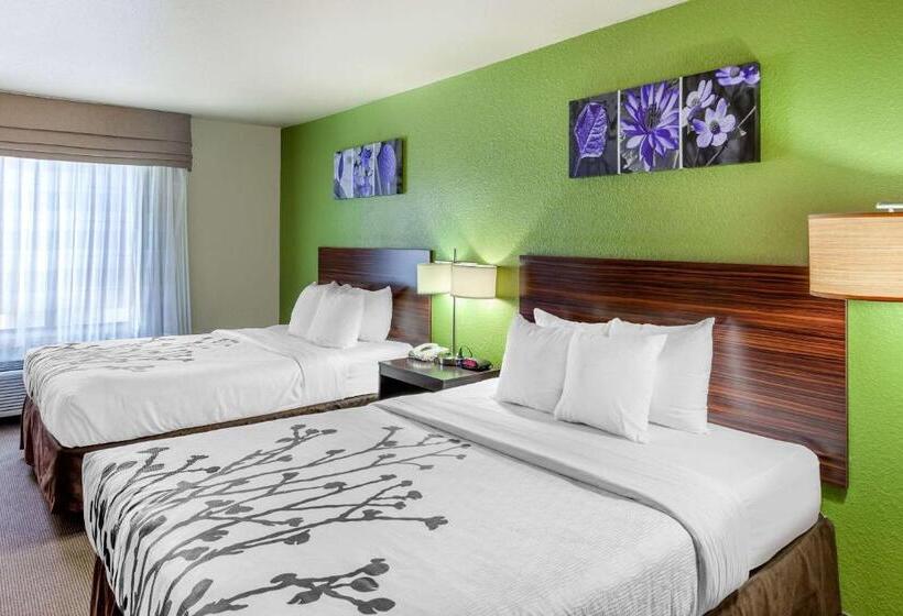 套房, Sleep Inn & Suites Hewitt  South Waco
