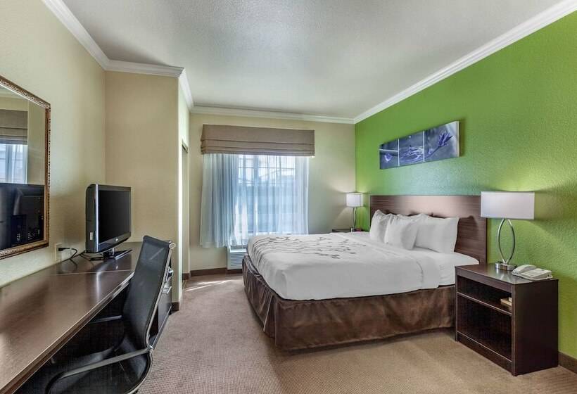 套房, Sleep Inn & Suites Hewitt  South Waco