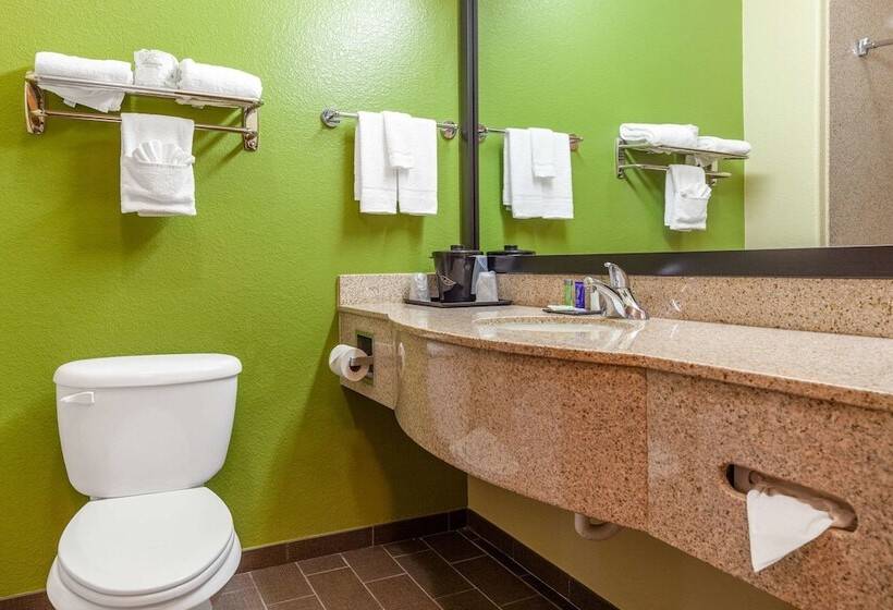 套房, Sleep Inn & Suites Hewitt  South Waco