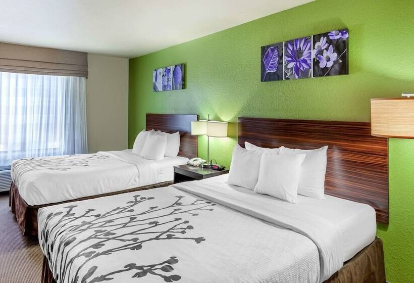 套房, Sleep Inn & Suites Hewitt  South Waco