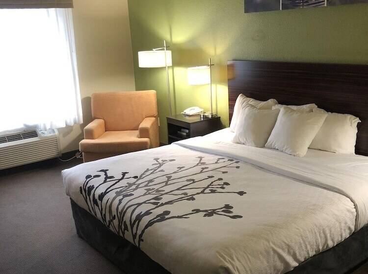 适合残疾人士使用的套间, Sleep Inn & Suites Hewitt  South Waco