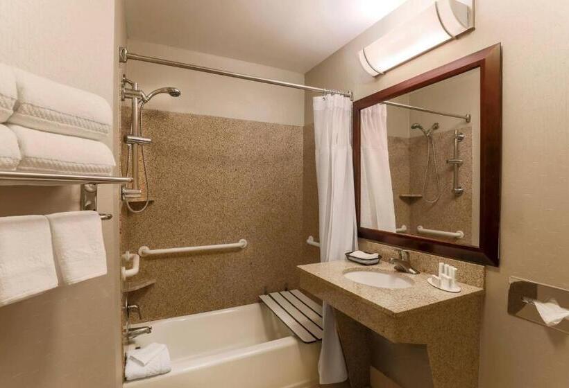 Люкс, Springhill Suites Phoenix Glendale Sports & Entertainment District