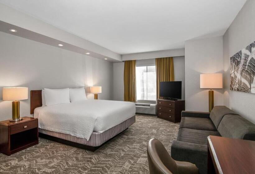 Люкс, Springhill Suites Phoenix Glendale Sports & Entertainment District