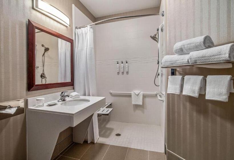 Люкс Адаптированный для Инвалидов, Springhill Suites Phoenix Glendale Sports & Entertainment District