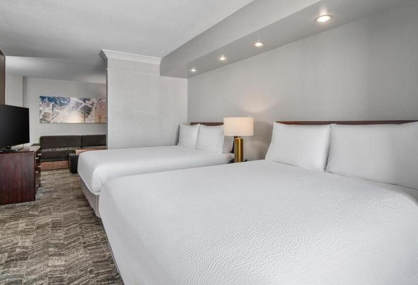 Люкс Адаптированный для Инвалидов, Springhill Suites Phoenix Glendale Sports & Entertainment District