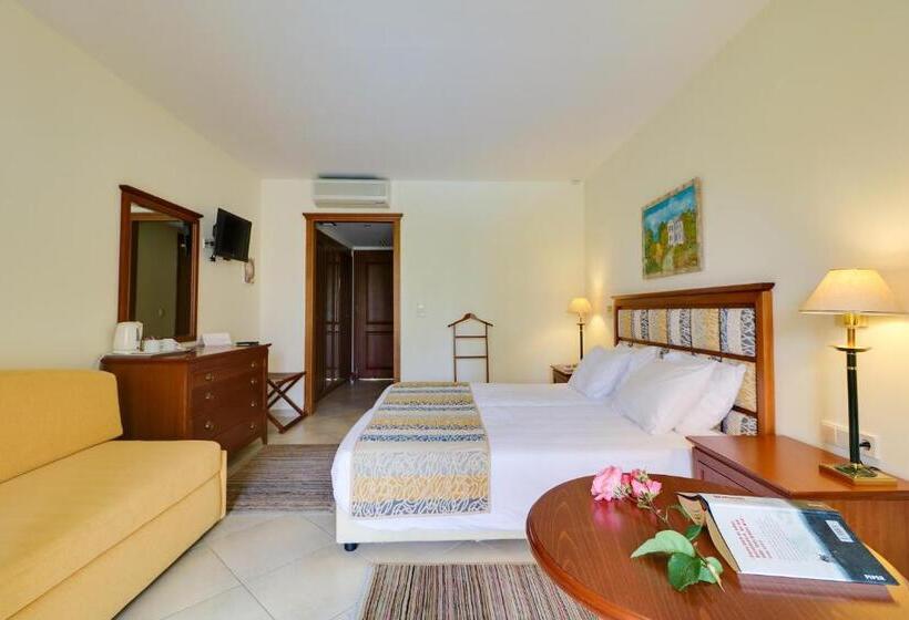 اتاق استاندارد با چشم‌انداز استخر, Aegean Melathron Thalasso Spa