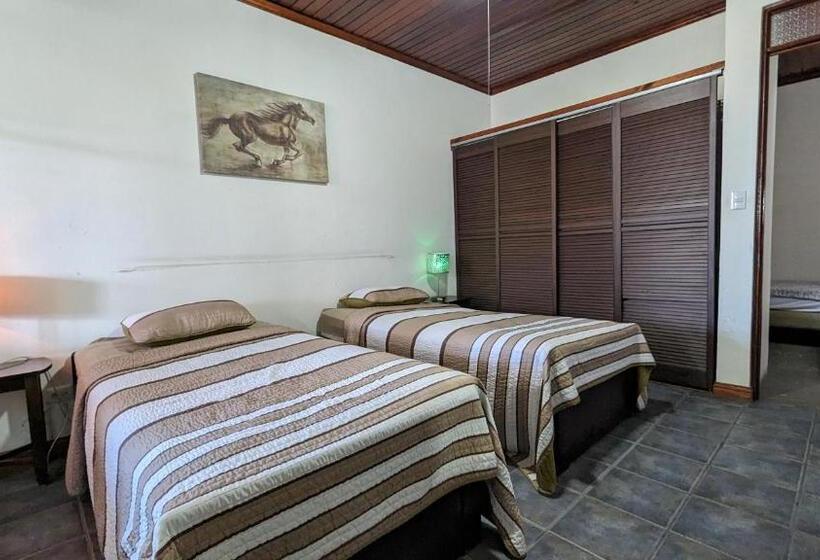 공동 객실, Colours Oasis Resort Adult Only