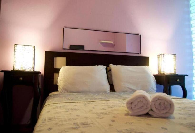 기본룸, Colours Oasis Resort Adult Only
