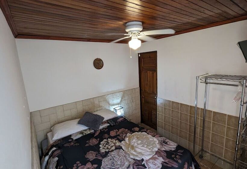 스탠다드 룸, Colours Oasis Resort Adult Only