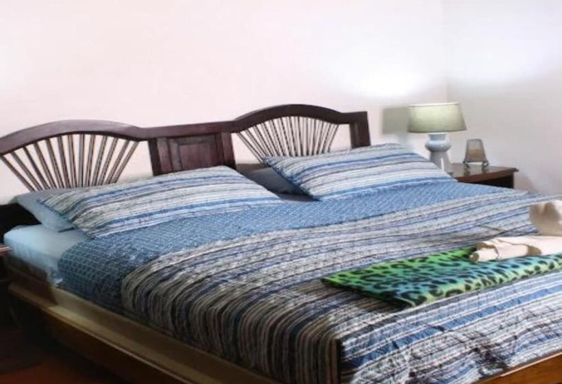 스위트, Colours Oasis Resort Adult Only
