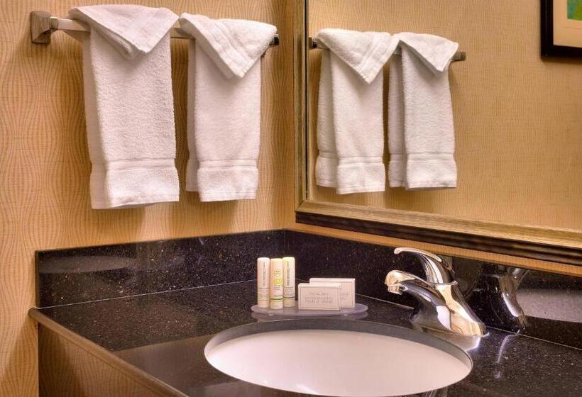 Номер Стандарт Адаптированный для Инвалидов, Fairfield Inn & Suites Boise Nampa