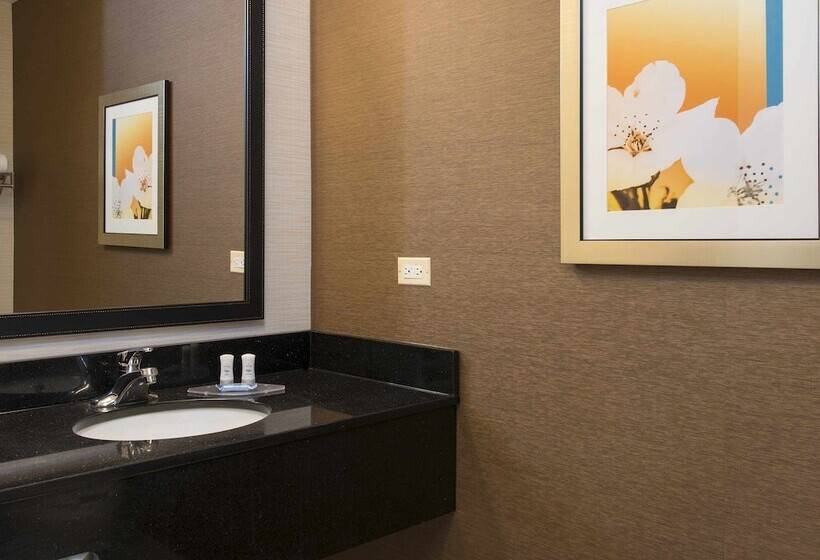스탠다드 룸 더블 침대 2개, Fairfield Inn And Suites By Marriott Chicago St. Charles