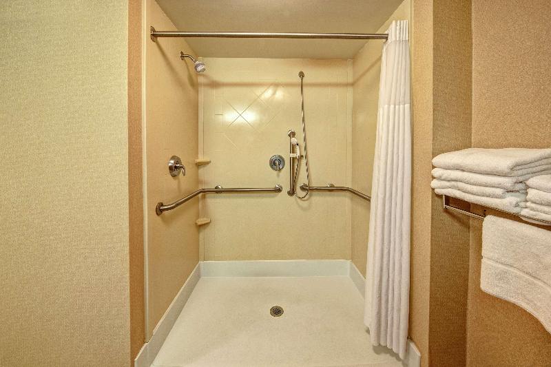 Номер Стандарт Кровать Кинг Адаптированный для Инвалидов, Hampton Inn Roanoke Rapids, Nc