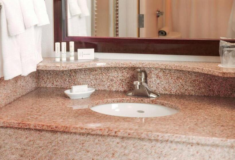 스위트 킹사이즈 침대, Springhill Suites Houston Pearland