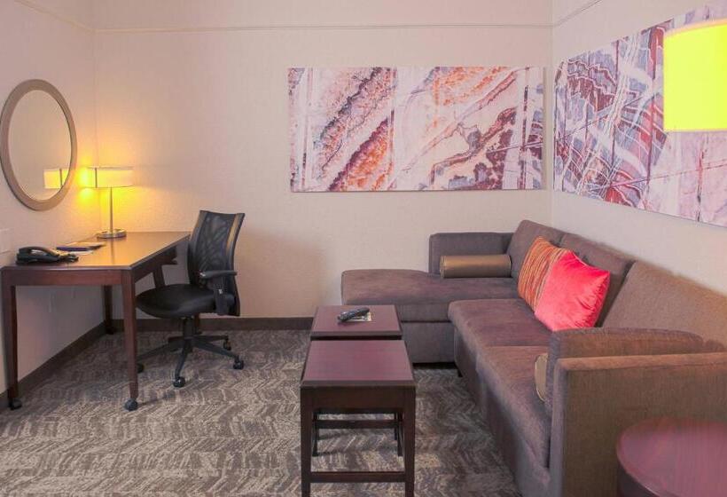 스위트, Springhill Suites Houston Pearland