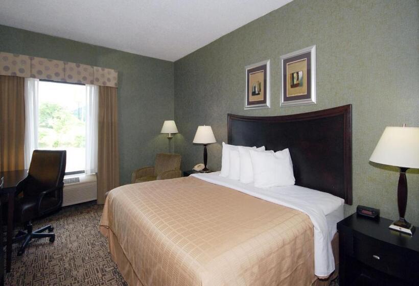 스탠다드 룸 킹사이즈 침대, Quality Inn Troutville  Roanoke North