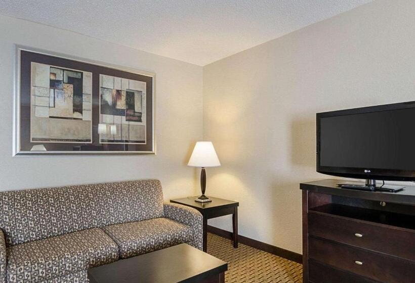 스탠다드 룸, Quality Inn Troutville  Roanoke North