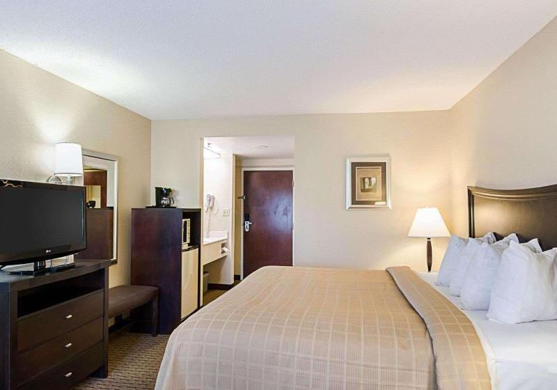 스탠다드 룸 킹사이즈 침대, Quality Inn Troutville  Roanoke North