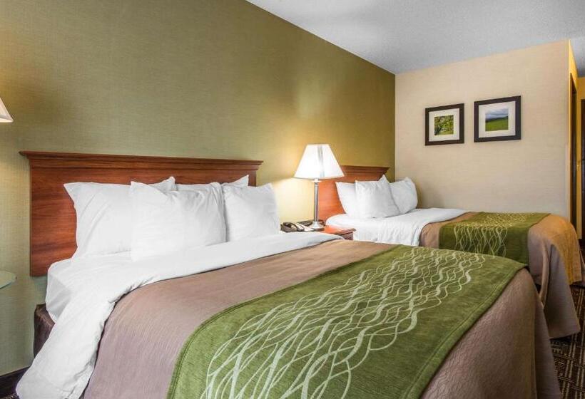 Номер Стандарт 2 Двуспальные Кровати, Comfort Inn