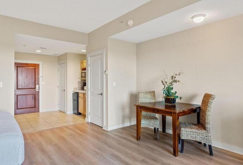 Студия Стандарт Interior, Origin At Seahaven