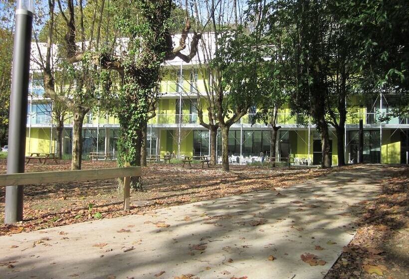 ルームシェアのワンベッド, Uba Hostel