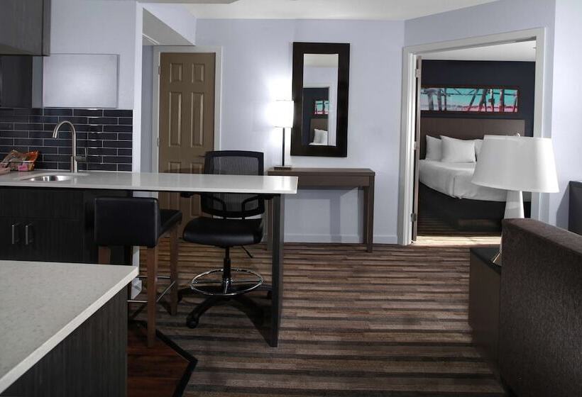스탠다드 스튜디오 킹침대, Hyatt House Sterling/dulles Airport North
