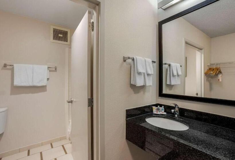 Стандартный Номер Кровать Кинг, Comfort Inn & Suites Mt. Laurelphiladelphia